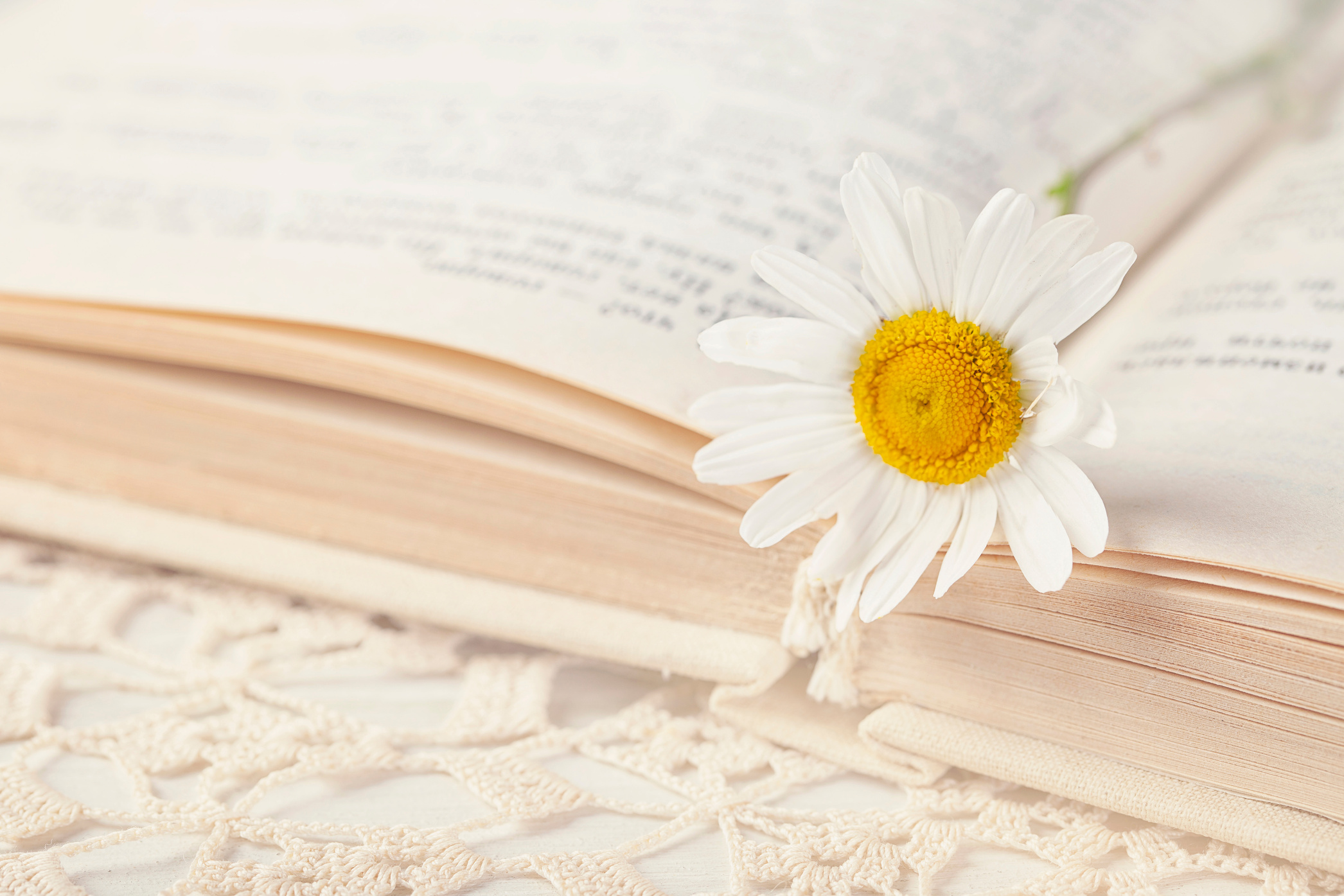 Old book and flower