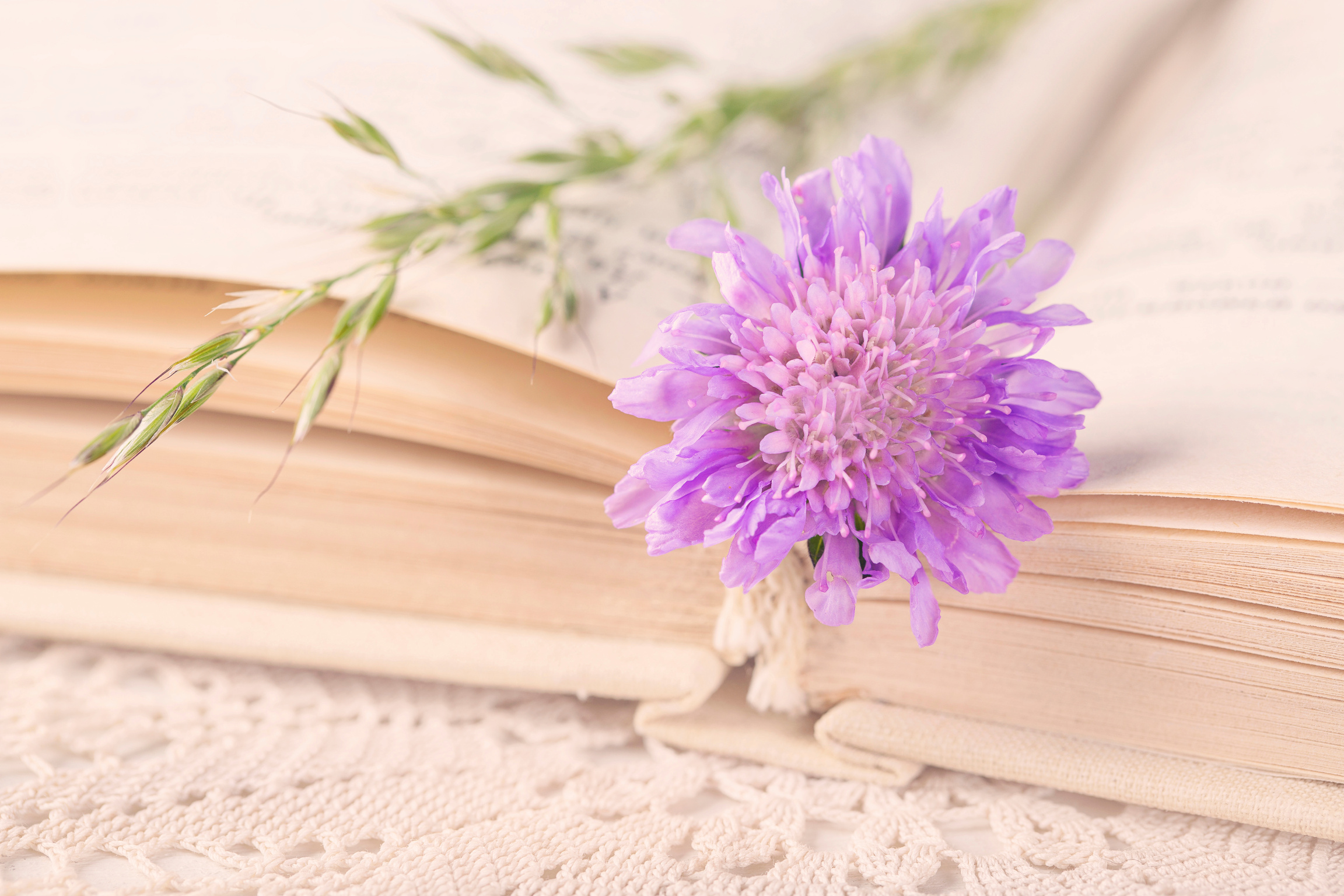 Old book and flowers